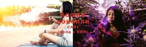 дмт Богородск