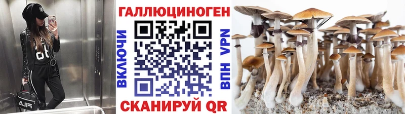 Псилоцибиновые грибы мицелий купить наркотик нарко площадка телеграм Наро-Фоминск